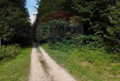 Teren 2000mp intravilan de vanzare in Poiana Brasov! Comision 0%! - 4