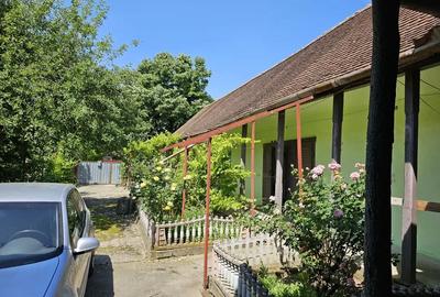 Casă cu 4 camere cu Teren 1450 Mp în Liebling - 4