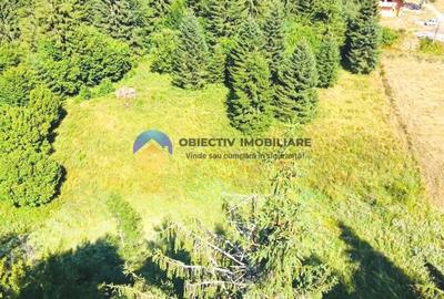 Teren Construcții intravilan de 14114 mp, în Schitu Tarcău - 4