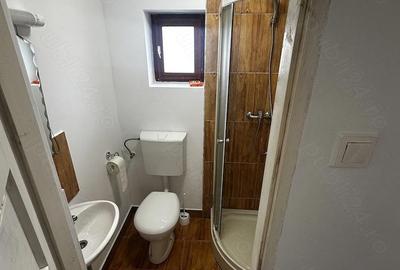 Casă cu 2 camere cu Teren 2700 Mp în Mica - 5