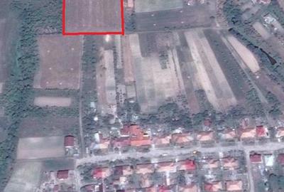 Teren de 5000 mp, în Central - 1