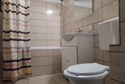 Apartament 2 camere ultracentral - UNION - 9
