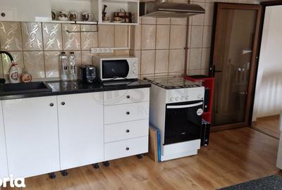 Casă cu 2 camere cu Teren 203 Mp în Chitila - 11