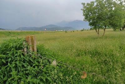 Teren Construcții intravilan de 10500 mp, în Exterior Nord - 7