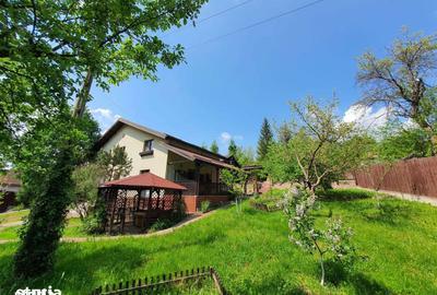 Casă cu 6 camere cu Teren 2700 Mp în Golești - 12