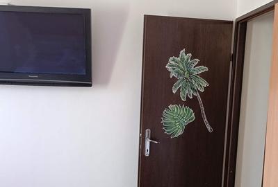 Apartament 2 camere Colentina - 4