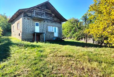 Cămin sau refugiu ? Alegerea îți aparține Cămin sau refugiu ? Alegerea îți aparține - 2