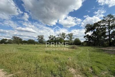 Teren intravilan de vanzare 2200 mp, Sebe? - 1