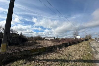 Teren Construcții intravilan de 39581 mp, în Dragomirești - 3