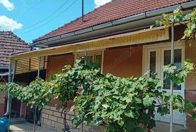 Casă cu 2 camere în Aluniș