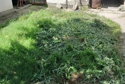 Casă cu 7 camere cu Teren 700 Mp în Central - 1