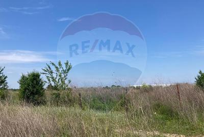 Teren intravilan de 973 mp, în Băneasa - 11