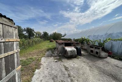 Casa cu 5 camere in Totoreni langa Beius - 13