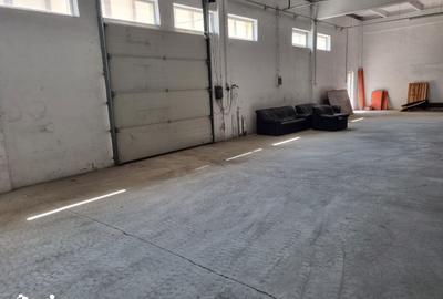 Spațiu comercial, de 656 mp, în Depozitelor - 9
