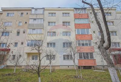 Apartament cu 2 camere de inchiriat in zona Uzina 2 - 19