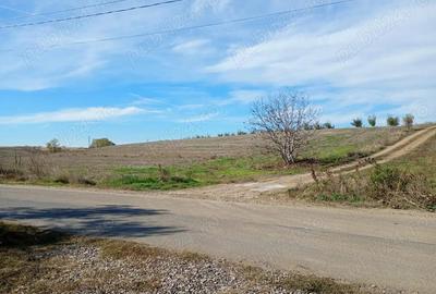 Teren 6.000 mp in Peri?, aproape de Bucure?ti ideal pentru locuin?a sau investi?ie - 7