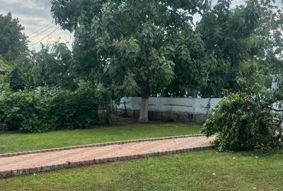 Casa cu pod mansardabil, 20 km de Delta Dunarii - 6