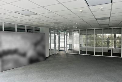 Podu Ros, spatiu in cladire birouri clasa A+, pozitionat excelent - 5
