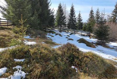 Spațiu comercial, în Măguri - 1