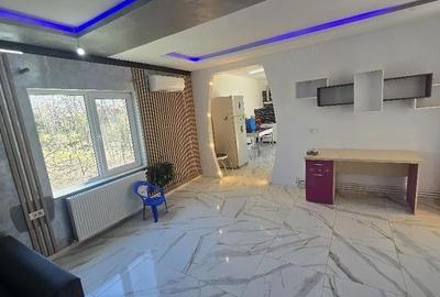 Casă cu Teren 6665 Mp în Poarta Albă - 4