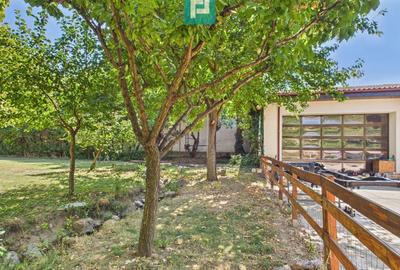 Casă individuală parter, zona Calea Șagului - 25