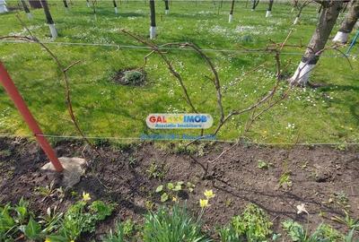 Casă cu Teren 800 Mp în Vest - 3