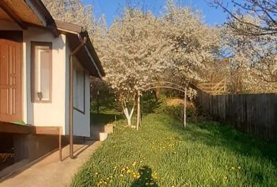 Casă cu 2 camere în Sărata - 1