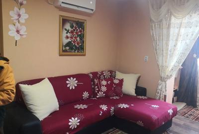 Garsonieră decomandată în Biled - 4