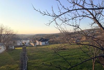 Spațiu comercial, în Vlădiceni - 2