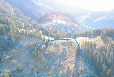 Teren 31,461mp Panaci / Prelungirea Ialovita - 1