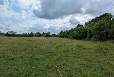 Casă cu 5 camere în Pomi