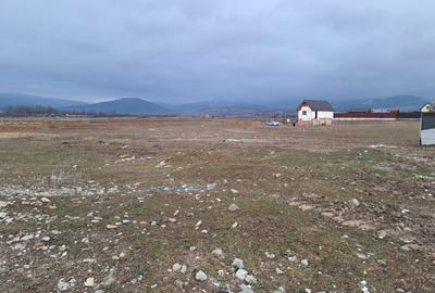Teren constructii Carpinis Brasov - 5