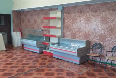 Spațiu comercial, de 50 mp, în Hemeiuș - 2