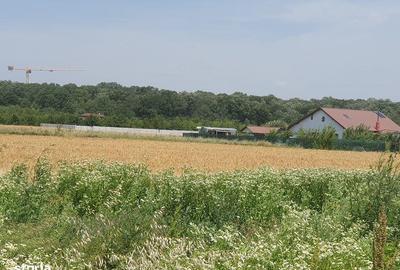 Teren de 500 mp, în Balotești