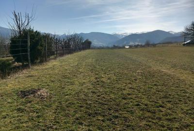 Spațiu comercial, în Rășinari - 7