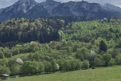 Spațiu comercial, în Plaiul Foii - 3
