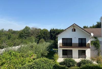 Casă cu 10 camere cu Teren 1140 Mp în Bascov - 7