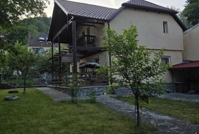 Vila Ultracentral Sinaia - 11