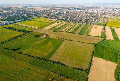 50 ha teren compact în Bujac - 3