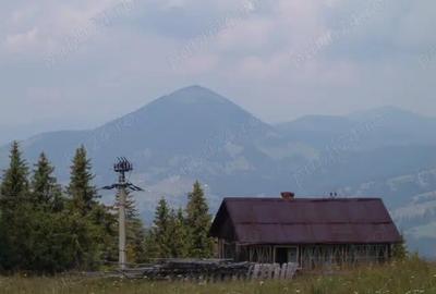 Teren de 5000 mp, în Central - 1