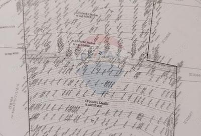 Teren de 5546 mp, în Central - 2