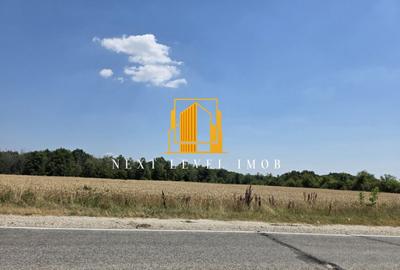 Teren intravilan de vanzare 2.500 mp Mo?oaia