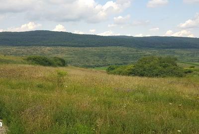 Spațiu comercial, în Suceagu - 4