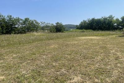 Spațiu comercial, în Budacu de Jos - 7