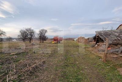 Teren de 6133 mp, în Horodnic - 3