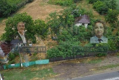 Teren intravilan cu utilita?i 3.000 mp / lot Sl... - 1