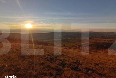 Teren de 8600 mp, în Ciurila - 2