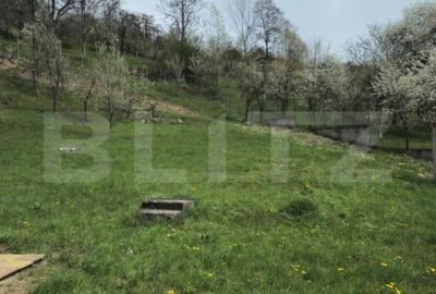Casă cu 5 camere cu Teren 3000 Mp în Runcu - 2