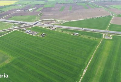 Teren de 40578 mp, în Ciorogârla - 11