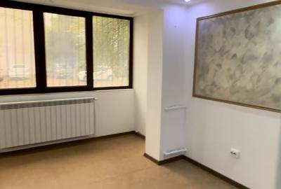 Spatiu comercial de inchiriat zona Doraly - 9